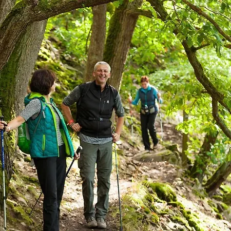 Reinhardshäusle Pension&wellness Gasthof 3*