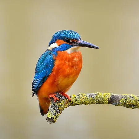 Reinhardshaeusle Гостевой дом